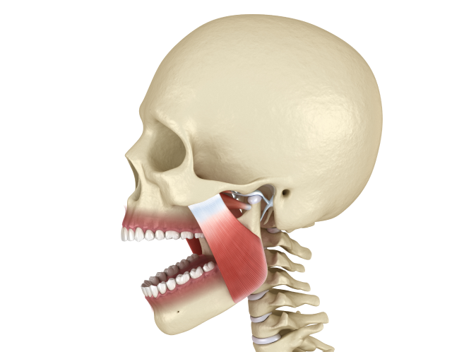 Bruxisme Orthodontiste Marseille 10 | Drs Couchat, Gaillard & Toga