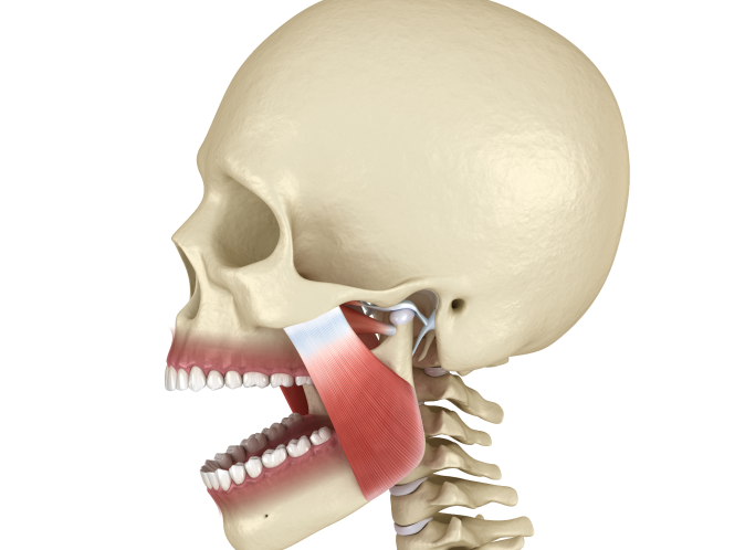 Problème de déglutition  Orthodontiste Marseille 10 | Drs Couchat, Gaillard & Toga